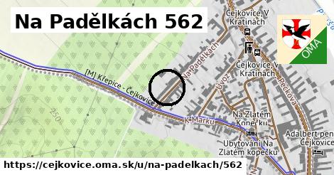 Na Padělkách 562, Čejkovice