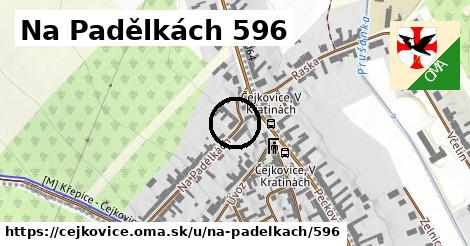 Na Padělkách 596, Čejkovice