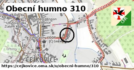 Obecní humno 310, Čejkovice