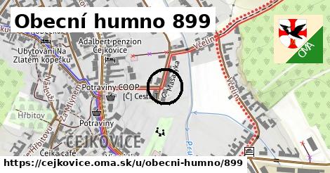 Obecní humno 899, Čejkovice