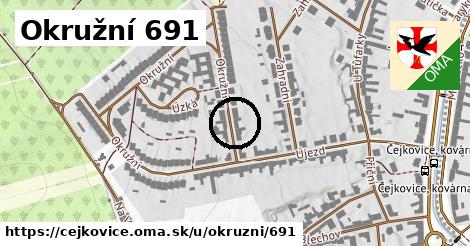 Okružní 691, Čejkovice