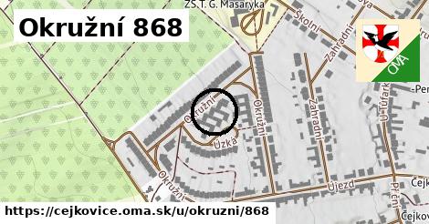 Okružní 868, Čejkovice