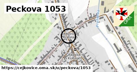 Peckova 1053, Čejkovice