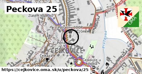 Peckova 25, Čejkovice