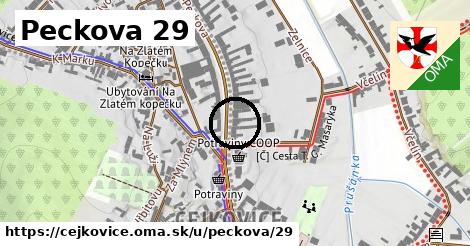Peckova 29, Čejkovice