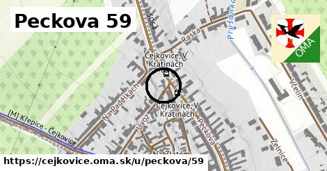 Peckova 59, Čejkovice
