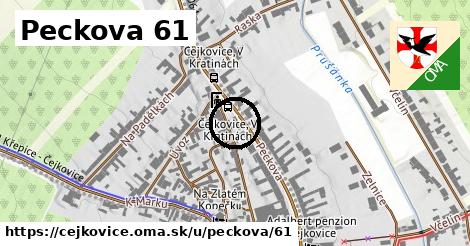 Peckova 61, Čejkovice