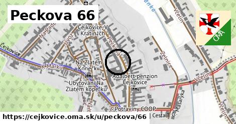 Peckova 66, Čejkovice