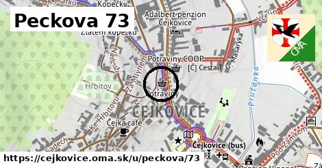 Peckova 73, Čejkovice