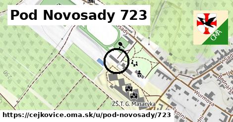 Pod Novosady 723, Čejkovice