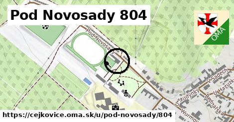 Pod Novosady 804, Čejkovice