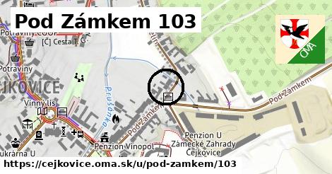 Pod Zámkem 103, Čejkovice