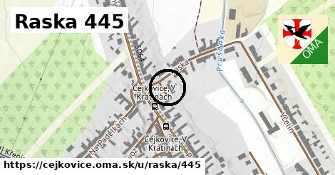 Raska 445, Čejkovice