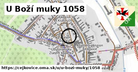 U Boží muky 1058, Čejkovice