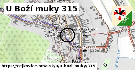 U Boží muky 315, Čejkovice