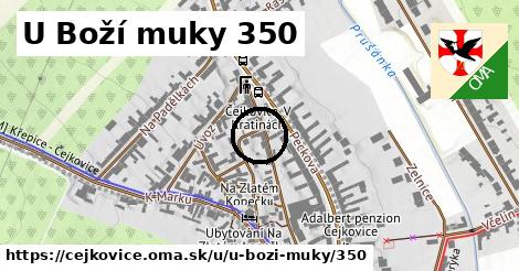 U Boží muky 350, Čejkovice