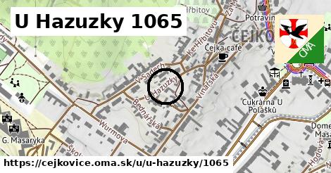 U Hazuzky 1065, Čejkovice