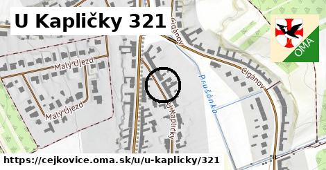 U Kapličky 321, Čejkovice