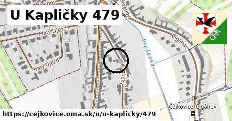 U Kapličky 479, Čejkovice