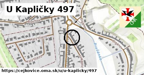 U Kapličky 497, Čejkovice