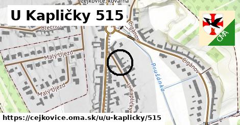 U Kapličky 515, Čejkovice