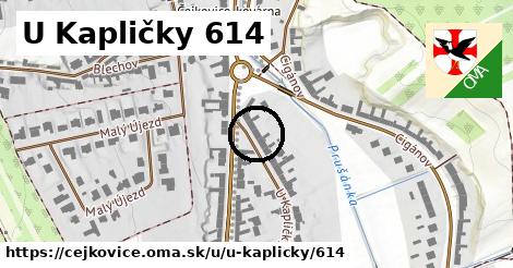 U Kapličky 614, Čejkovice