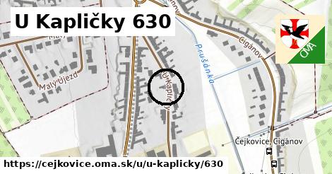 U Kapličky 630, Čejkovice