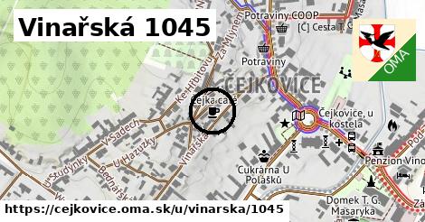 Vinařská 1045, Čejkovice