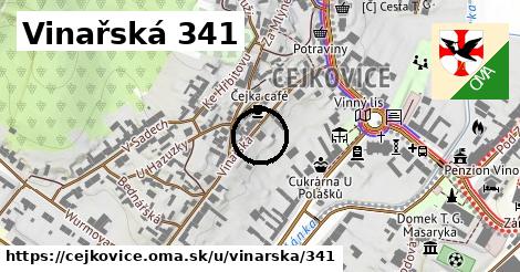 Vinařská 341, Čejkovice