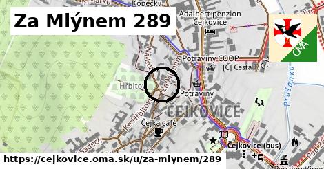 Za Mlýnem 289, Čejkovice