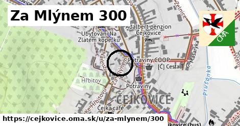 Za Mlýnem 300, Čejkovice