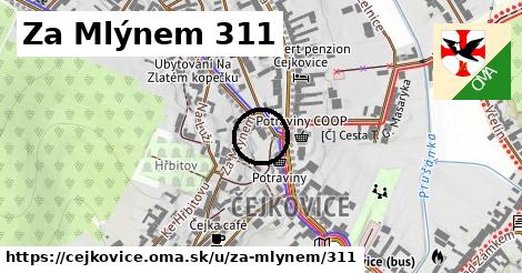 Za Mlýnem 311, Čejkovice