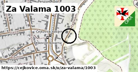 Za Valama 1003, Čejkovice