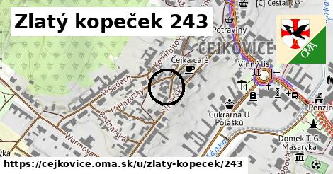 Zlatý kopeček 243, Čejkovice