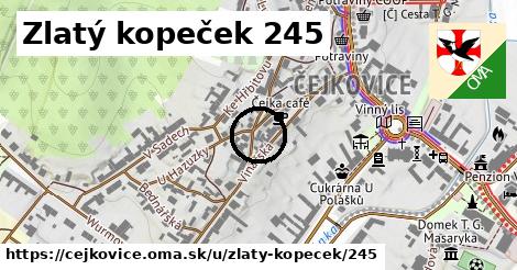 Zlatý kopeček 245, Čejkovice