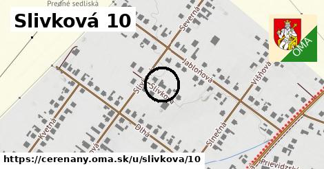 Slivková 10, Čereňany