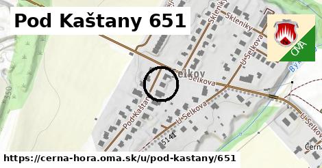 Pod Kaštany 651, Černá Hora