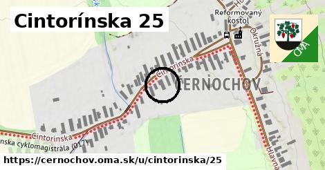 Cintorínska 25, Černochov