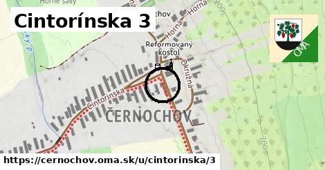 Cintorínska 3, Černochov