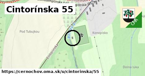 Cintorínska 55, Černochov