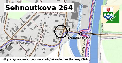 Sehnoutkova 264, Černožice