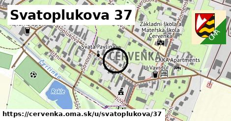 Svatoplukova 37, Červenka