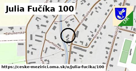 Julia Fučíka 100, České Meziříčí