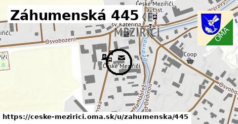 Záhumenská 445, České Meziříčí