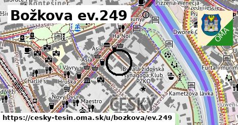 Božkova ev.249, Český Těšín
