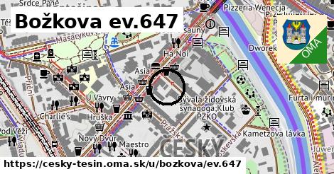 Božkova ev.647, Český Těšín