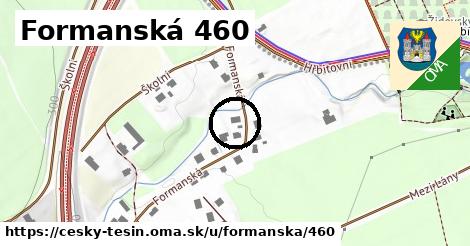 Formanská 460, Český Těšín