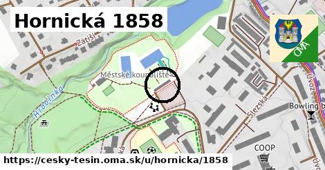 Hornická 1858, Český Těšín