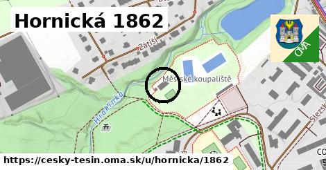 Hornická 1862, Český Těšín