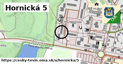 Hornická 5, Český Těšín